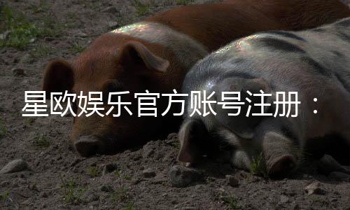 星欧娱乐官方账号注册:轻松完成三步快速开户指南