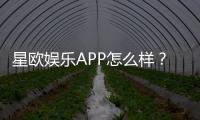 星欧娱乐APP怎么样？资深玩家实测体验与平台特色解析