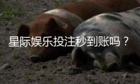 星际娱乐投注秒到账吗？实测到账速度与平台可靠性解析