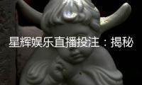 星辉娱乐直播投注：揭秘高胜率玩家的实战技巧与策略