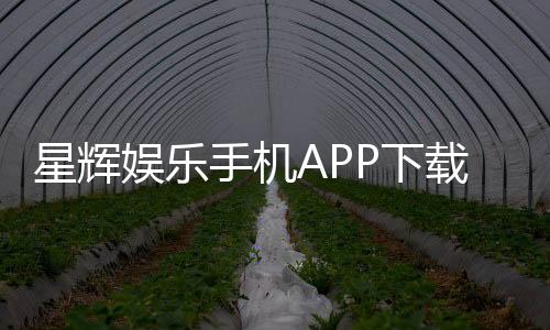 星辉娱乐手机APP下载:畅享棋牌电游的顶级移动平台