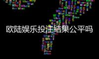 欧陆娱乐投注结果公平吗？深度解析其公正性与玩家体验