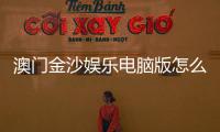 澳门金沙娱乐电脑版怎么样？玩家真实体验与平台优势解析