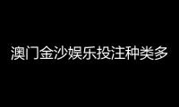 澳门金沙娱乐投注种类多吗？揭秘其丰富多样的游戏选择
