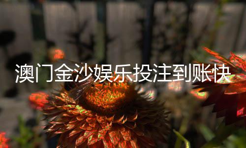 澳门金沙娱乐投注到账快吗？实测3分钟极速到账攻略分享