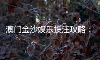 澳门金沙娱乐投注攻略：资深玩家分享稳赢技巧与实战心得