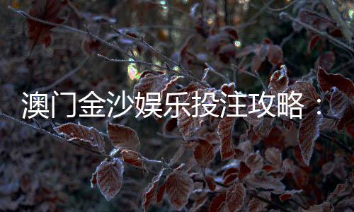澳门金沙娱乐投注攻略：资深玩家分享稳赢技巧与实战心得