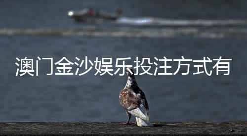 澳门金沙娱乐投注方式有哪些？详解主流玩法与充值技巧