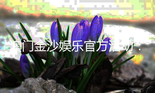澳门金沙娱乐官方活动：独家优惠与精彩赛事一网打尽