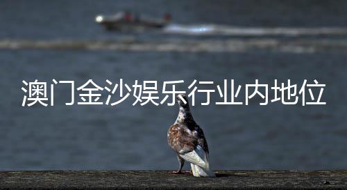 澳门金沙娱乐行业内地位如何？揭秘其在亚洲博彩市场的领先优势