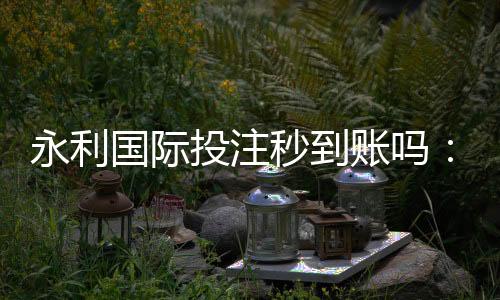 永利国际投注秒到账吗:极速存取款体验分享