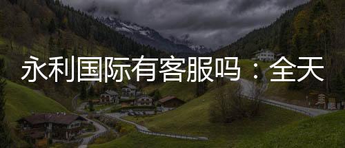 永利国际有客服吗:全天候在线解答您的疑问