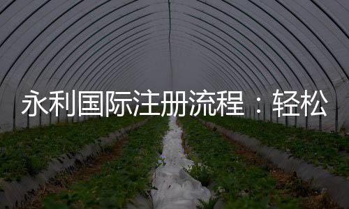 永利国际注册流程:轻松入门注册简便