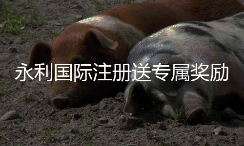 永利国际注册送专属奖励：精彩棋牌娱乐体验