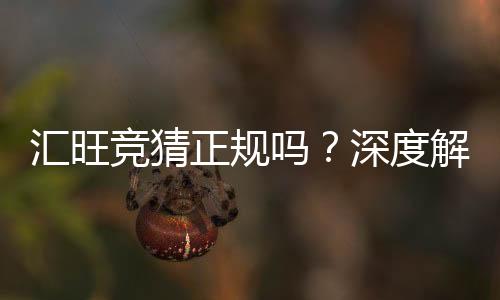 汇旺竞猜正规吗？深度解析其安全性与可靠性