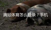 满冠体育怎么登录？手机与网页版详细步骤及常见登录问题解决