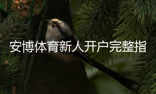 安博体育新人开户完整指南：注册流程、实名认证与常见问题详解