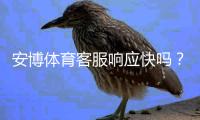 安博体育客服响应快吗？真实响应速度评测与常见问题处理攻略