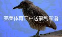 完美体育开户送福利靠谱吗？新手领取攻略、步骤与风险提示