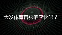大发体育客服响应快吗？真实体验与响应速度、问题解决率全面评测