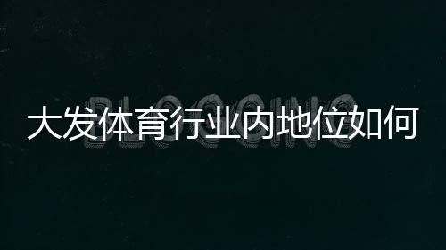 大发体育行业内地位如何?深度解析市场竞争力与发展前景