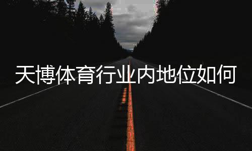 天博体育行业内地位如何？市场份额、竞争力与发展前景全方位解析