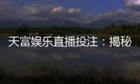 天富娱乐直播投注：揭秘高胜率玩家的实战技巧与投注策略