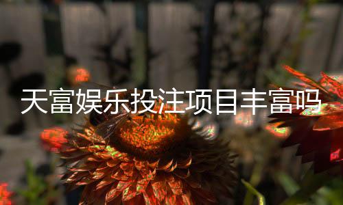 天富娱乐投注项目丰富吗？揭秘平台热门游戏与特色玩法