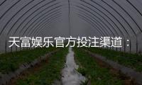 天富娱乐官方投注渠道：安全稳定的真人娱乐首选平台