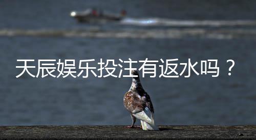 天辰娱乐投注有返水吗？最新返水政策与用户体验解析
