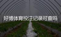 好博体育投注记录可查吗？官方查询、第三方取证与隐私注意事项