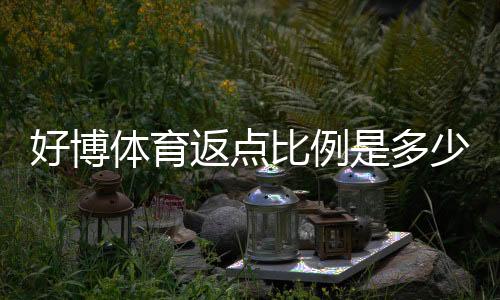 好博体育返点比例是多少？最新返点标准与计算方法全解析