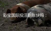 彩宝国际投注到账快吗：体验分享