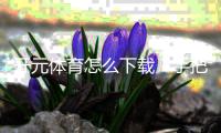 开元体育怎么下载？手把手教你轻松安装畅玩
