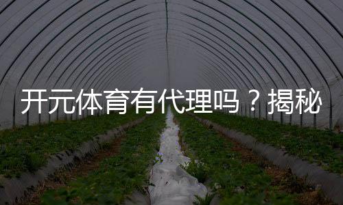 开元体育有代理吗？揭秘代理加盟条件与流程