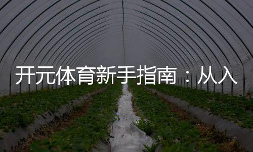 开元体育新手指南：从入门到精通的完整攻略