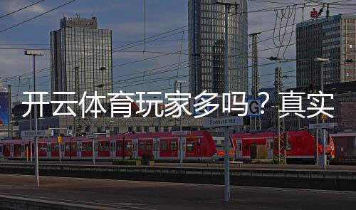 开云体育玩家多吗？真实用户规模与活跃度深度分析