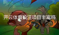 开云体育投注项目丰富吗？平台玩法种类、优势与风险一文看懂