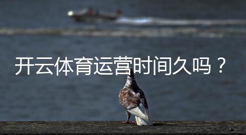 开云体育运营时间久吗？平台历史、信誉与安全性全面解析