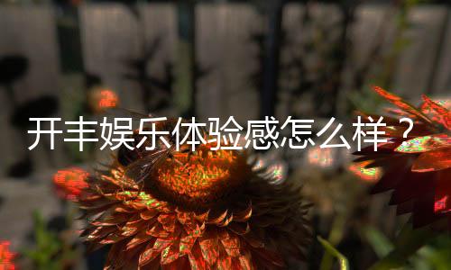 开丰娱乐体验感怎么样?资深玩家分享真实感受与技巧