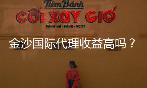 金沙国际代理收益高吗？资深玩家揭秘真实收益与操作技巧