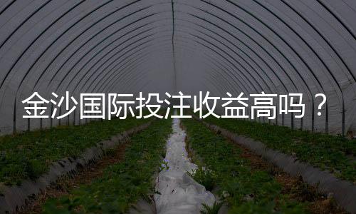 金沙国际投注收益高吗？资深玩家解析真实盈利策略