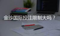 金沙国际投注限制大吗？深度解析平台规则与实战策略