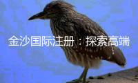 金沙国际注册：探索高端娱乐场的奢华体验与赢利秘籍