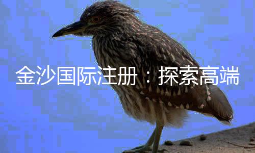 金沙国际注册：探索高端娱乐场的奢华体验与赢利秘籍