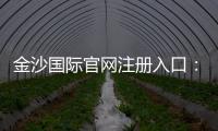 金沙国际官网注册入口：畅享豪华娱乐体验与独家优惠
