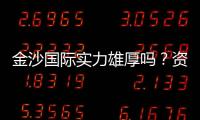 金沙国际实力雄厚吗？资深玩家深度解析其真实背景与优势