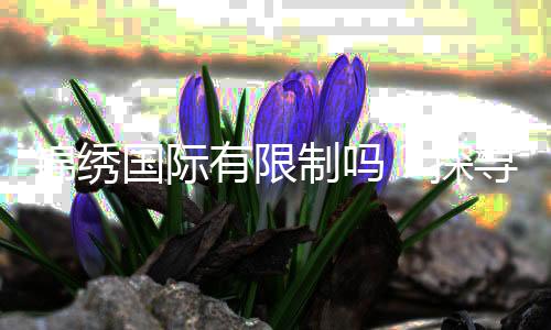 锦绣国际有限制吗？探寻无限可能的未来
