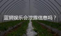 蓝狮娱乐会泄露信息吗？深度解析平台安全性及隐私保护措施