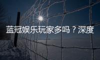 蓝冠娱乐玩家多吗？深度解析平台人气与玩家真实体验
